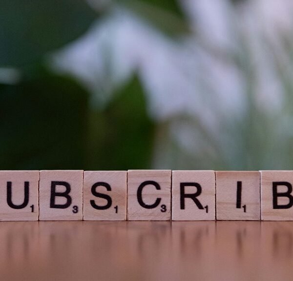 Elevate Your Marketing 120995677 Online Platform