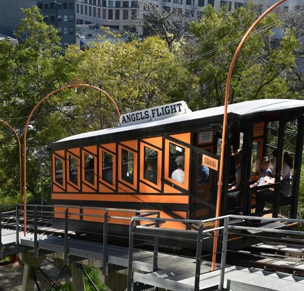 Elevate Your Marketing 607024370 Online Platform