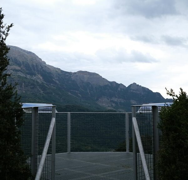 Elevate Your Services 636012630 Online Platform