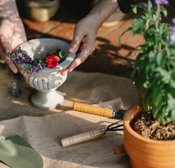 Optimize Your Growth 6303030 Digital Tools