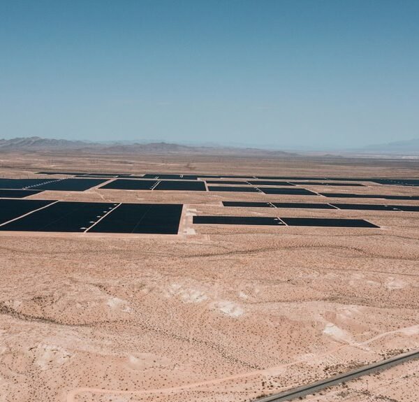 Smart Digital Solution 123510380 for Expansion