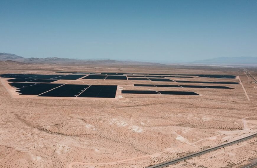 digital solution for growth